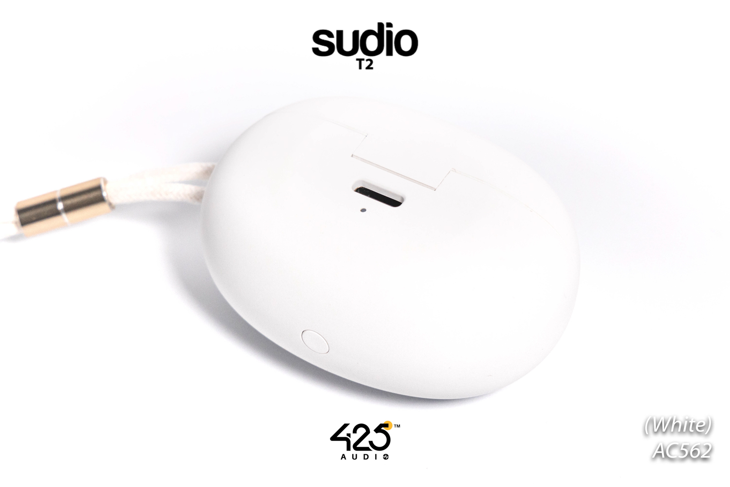 Sudio T2,sudio t2,หูฟังไร้สาย,หูฟังตัดเสียงรบกวน,แนะนำหูฟังไร้สาย,หูฟัง sudio,วิธีใช้หูฟังไร้สาย sudio t2,true wireless